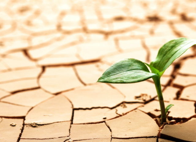 O Dia Mundial de Combate à Desertificação e à Seca