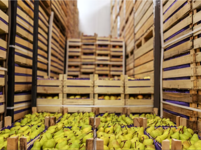 A Importância Vital da Logística na Distribuição de Alimentos